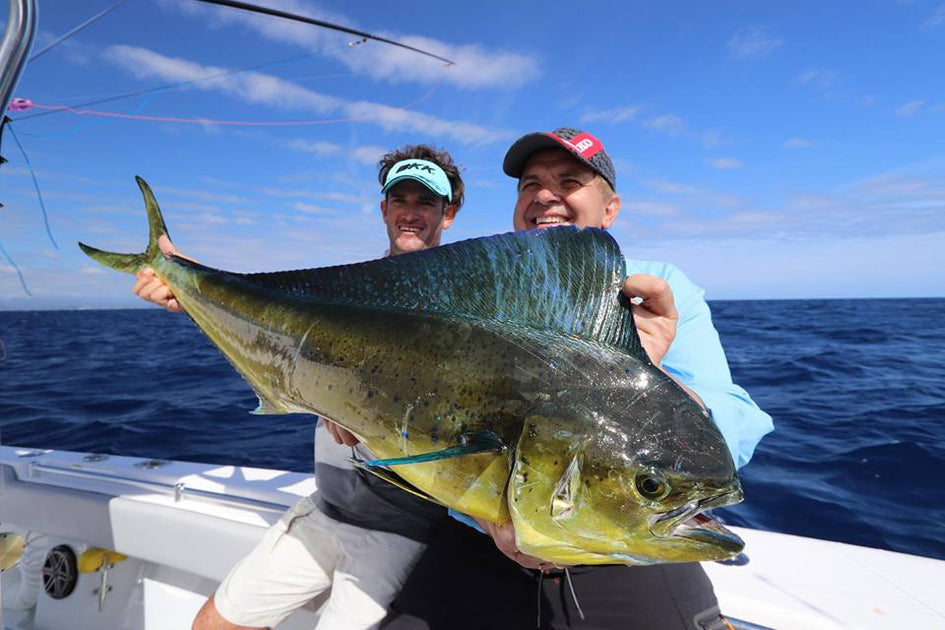 Samaki Live Shrimp – Fishing Station