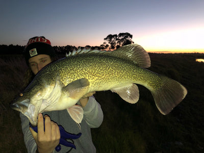 Trellys Fishing Report