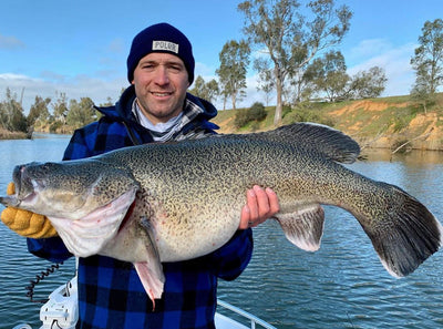 Trellys Fishing Report