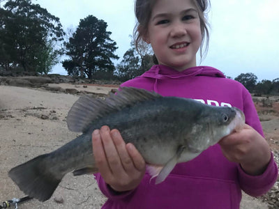 Trellys Fishing Report